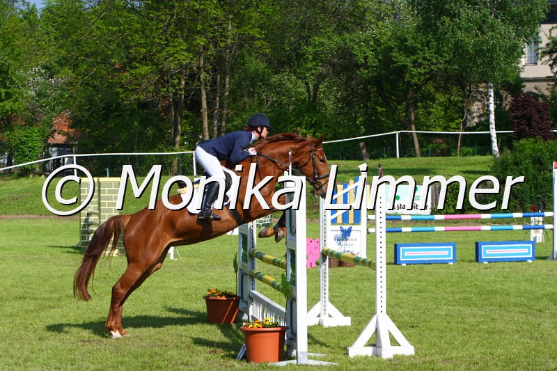 005M4046_Melody of Dream_Springpferde A.JPG